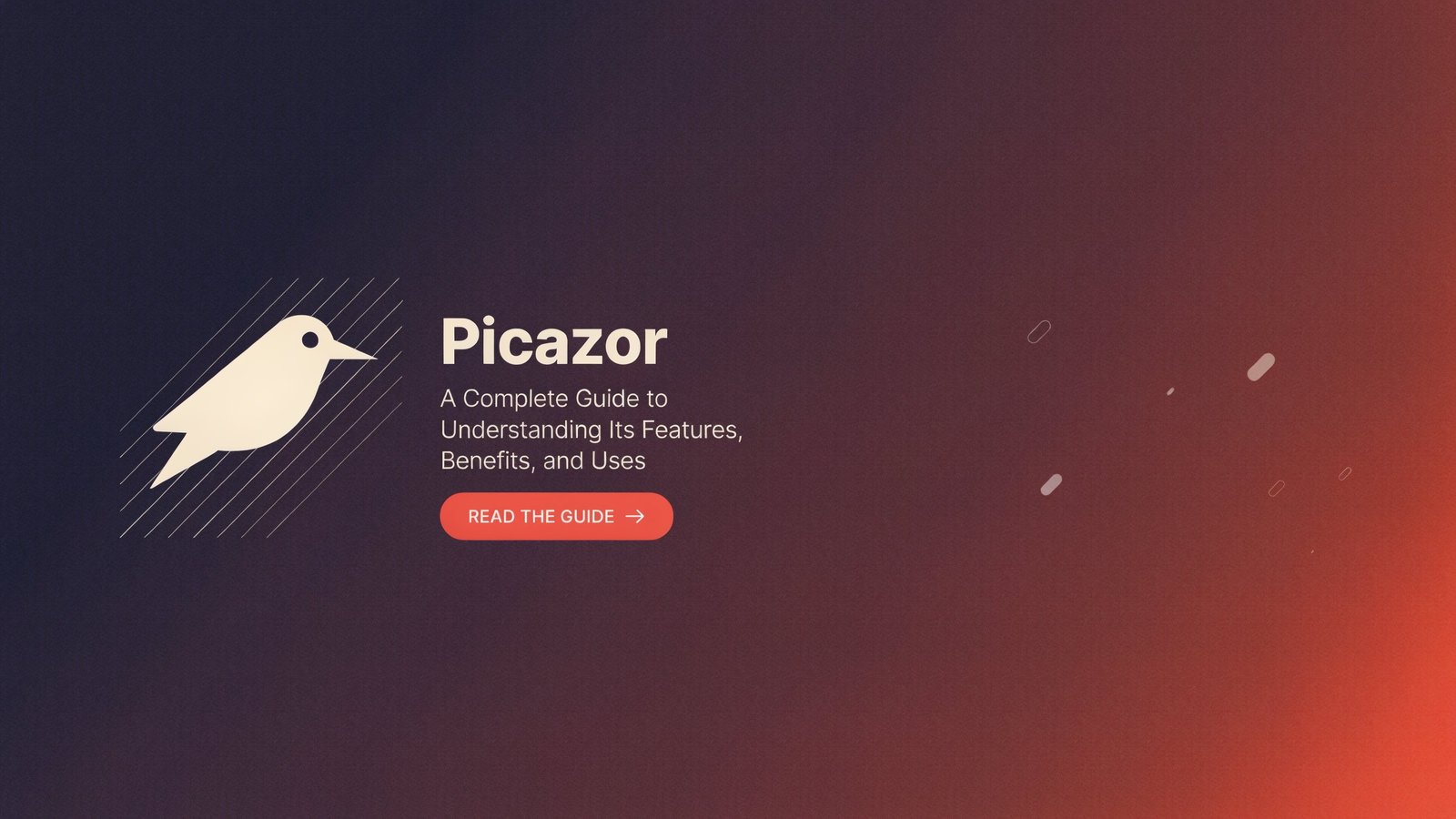 Picazor: A Complete Guide to Understanding Its Features, Benefits, and Uses