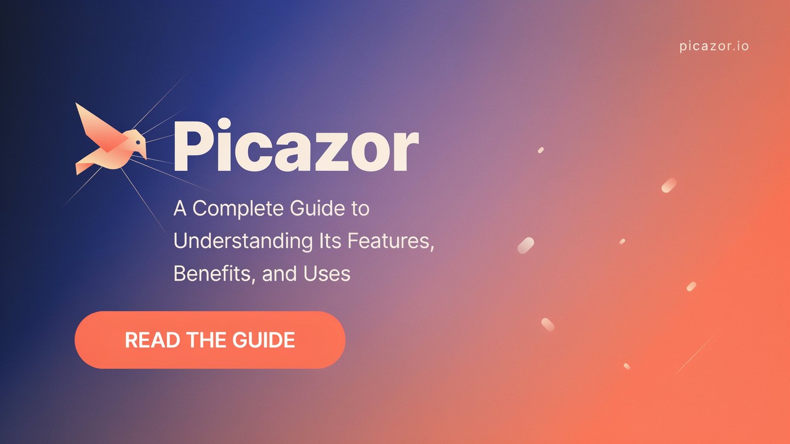 Picazor: A Complete Guide to Understanding Its Features, Benefits, and Uses