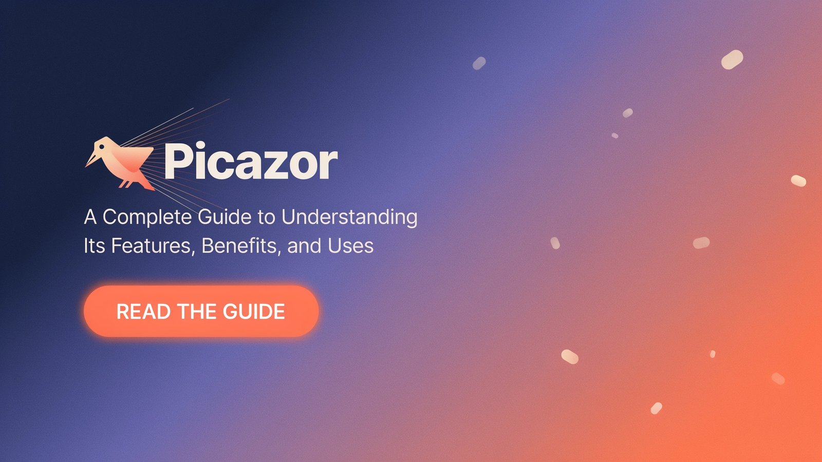 Picazor: A Complete Guide to Understanding Its Features, Benefits, and Uses