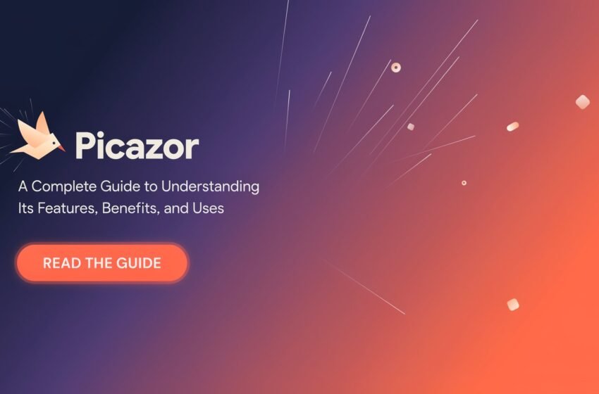  Picazor: A Complete Guide to Understanding Its Features, Benefits, and Uses
